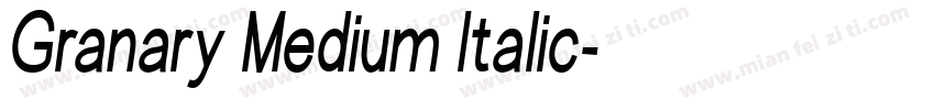 Granary Medium Italic字体转换